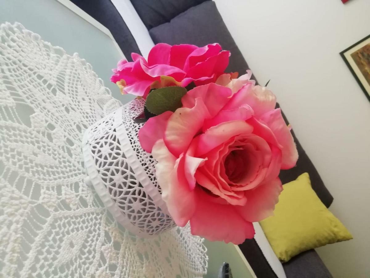 Bevanda بولا المظهر الخارجي الصورة