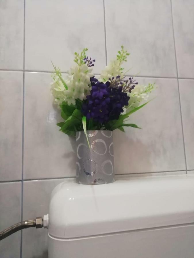 Bevanda بولا المظهر الخارجي الصورة